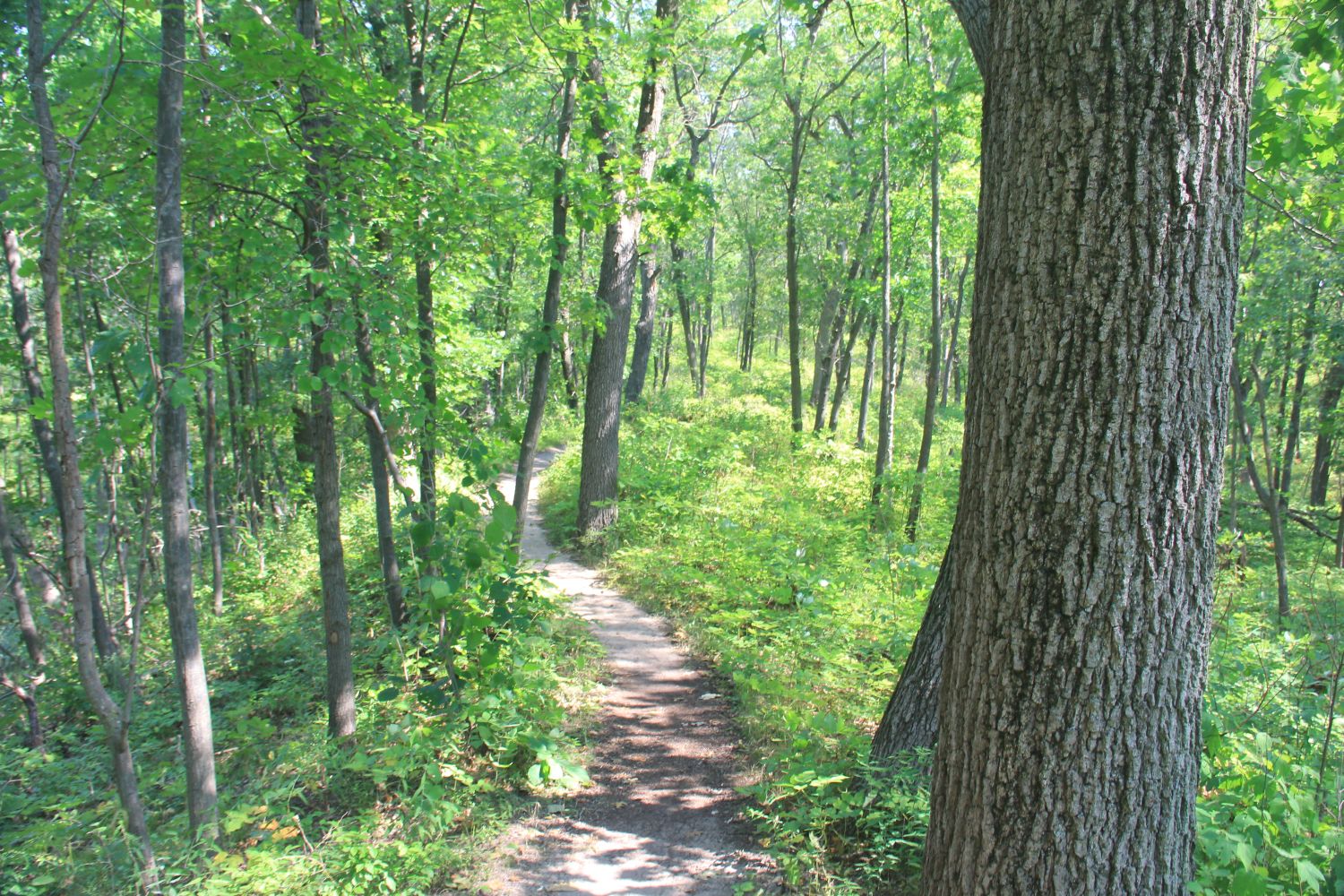 West Beach and Long Lake Trails 